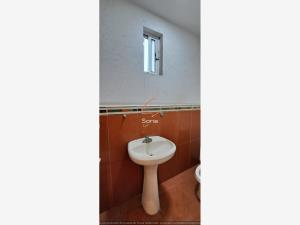 Bodega en renta en Peña Flores (Palo Verde), Cuautla — foto 2 de 30