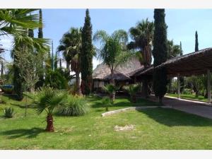 Finca-Rancho en venta en Valle Verde (Haciendas Valle Verde), Apaseo El Grande — foto 2 de 18