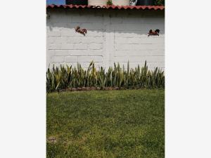 Terreno en venta en Centro, Cuautla — foto 3 de 5