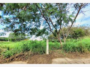 Terreno en venta en Miramar, Ciudad Madero — foto 2 de 4