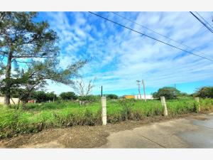 Terreno en venta en Miramar, Ciudad Madero — foto 3 de 4