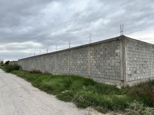 Terreno en renta en Ejido San Miguel, Matamoros — foto 2 de 14