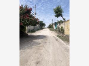 Terreno en venta en Tetelpa, Zacatepec — foto 2 de 8