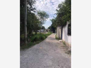 Terreno en venta en Tetelpa, Zacatepec — foto 3 de 8