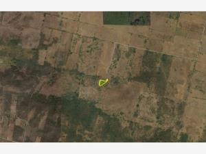 Terreno en venta en Loma Iguana, La Antigua — foto 2 de 5