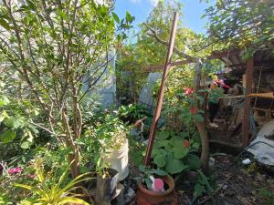Casa en venta en La Joya, Yautepec — foto 3 de 15
