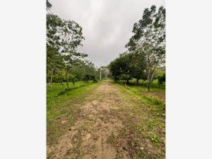 Terreno en venta en Río Seco 1ra. Sección, Cunduacán — foto 3 de 6