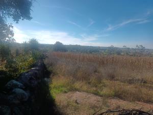 Terreno en venta en El Saucito, Amealco de Bonfil — foto 2 de 7