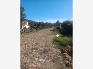 Terreno en venta en El Saucito, Amealco de Bonfil — foto 3 de 7