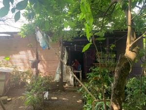 Terreno en venta en Belen Chico, San Andrés Tuxtla — foto 2 de 6