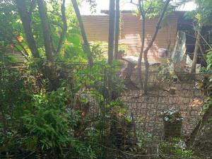 Terreno en venta en Belen Chico, San Andrés Tuxtla — foto 3 de 6