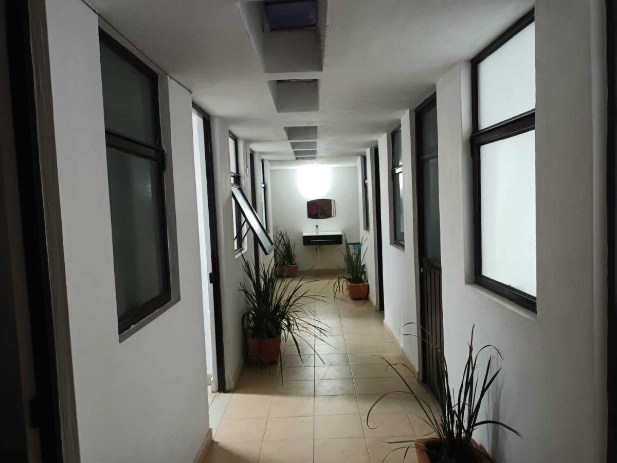 Oficina en renta en Miraval, Cuernavaca — foto 1 de 15