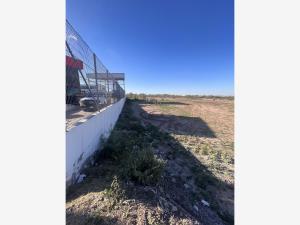 Terreno en venta en La Polka (Albia Sector Tres), Torreón — foto 2 de 7