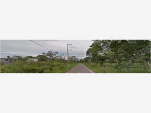 Casa en venta en Plutarco Elías Calles (Cura Hueso), Centro — foto 3 de 4