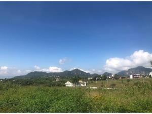 Terreno en venta en Tlayacapan Centro, Tlayacapan — foto 2 de 3