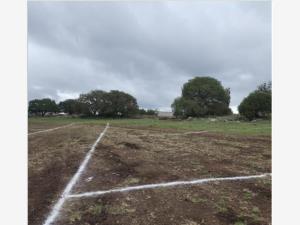 Terreno en venta en San Miguel Regla, Huasca de Ocampo — foto 3 de 4
