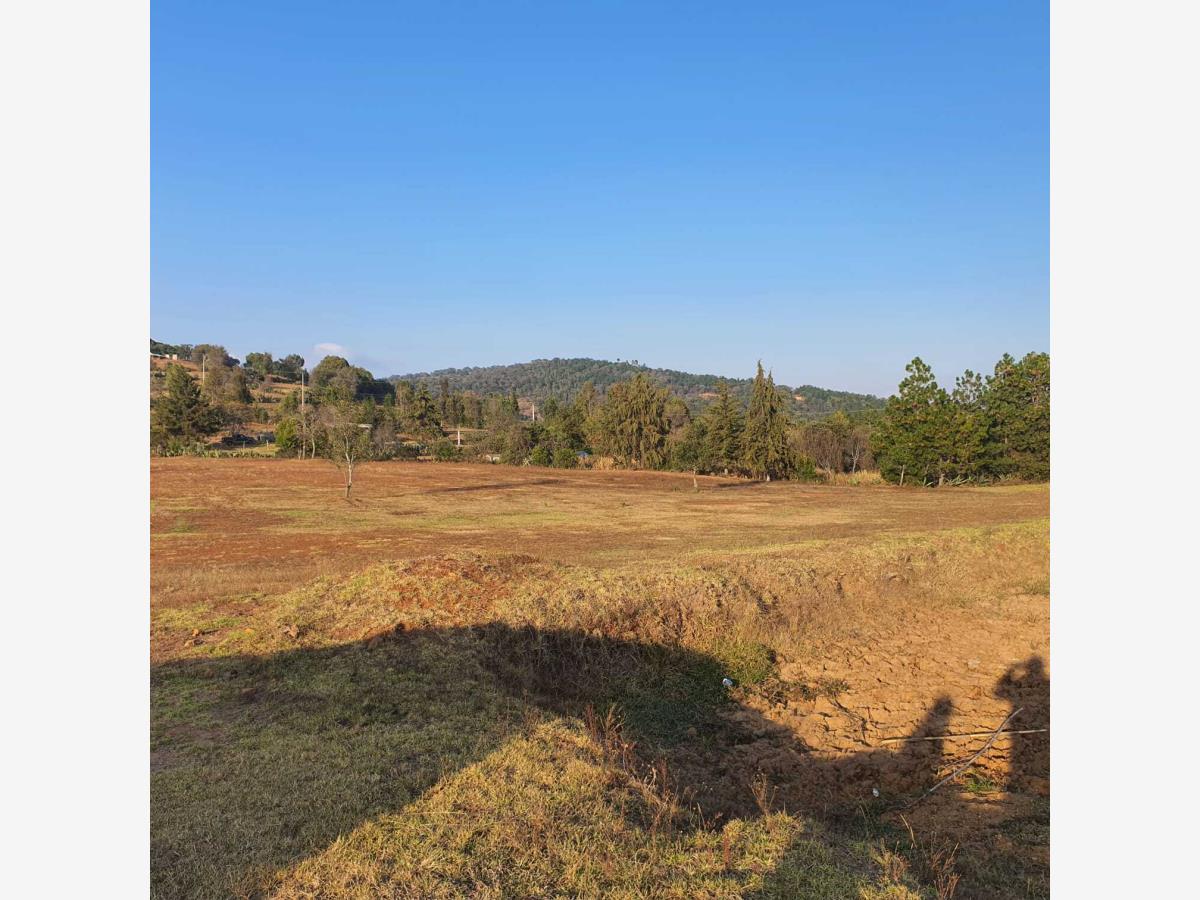 Terreno en venta en San Jerónimo, Huasca de Ocampo — foto 1 de 3