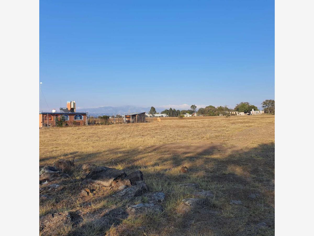 Terreno en venta en San José Ocotillos, Huasca de Ocampo — foto 1 de 3