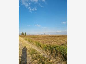 Terreno en venta en Santa Clara Ocoyucan, Ocoyucan — foto 2 de 9