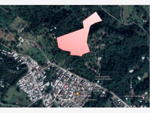 Terreno en venta en Los Carriles, Coatepec — foto 2 de 4