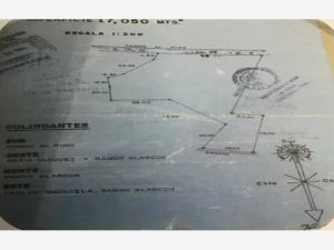 Terreno en venta en Los Carriles, Coatepec — foto 3 de 4