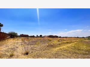 Terreno en renta en La Cruz, Celaya, Guanajuato