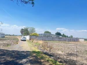Terreno en renta en La Cruz, Celaya — foto 3 de 6