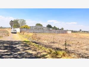 Terreno en renta en La Cruz, Celaya — foto 2 de 6
