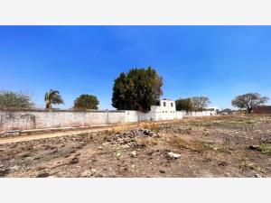 Terreno en venta en La Cruz, Celaya — foto 2 de 6