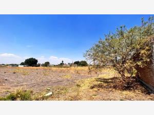 Terreno en venta en La Cruz, Celaya — foto 3 de 6