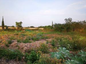 Terreno en venta en Emiliano Zapata, Cuautla — foto 3 de 6