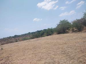 Terreno en venta en La Biznaga, Cuautla — foto 2 de 6