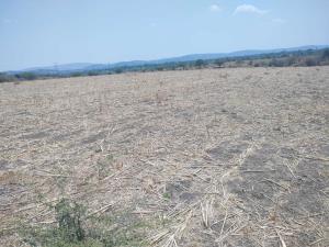 Terreno en venta en La Biznaga, Cuautla — foto 3 de 6