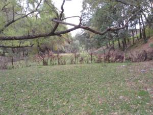 Terreno en venta en La Soledad, Aculco, México