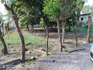 Terreno en venta en Paso Colorado, Boca del Río — foto 2 de 3