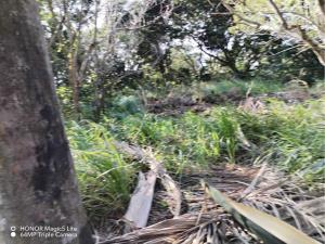 Terreno en venta en Paso Colorado, Boca del Río — foto 3 de 3