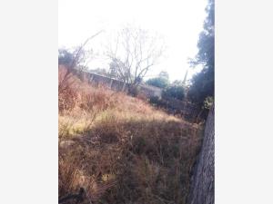 Terreno en venta en Paraíso Tlahuica, Ayala — foto 2 de 3