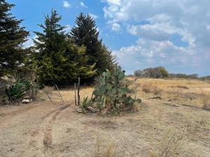 Terreno en venta en El Marques, Querétaro, Querétaro