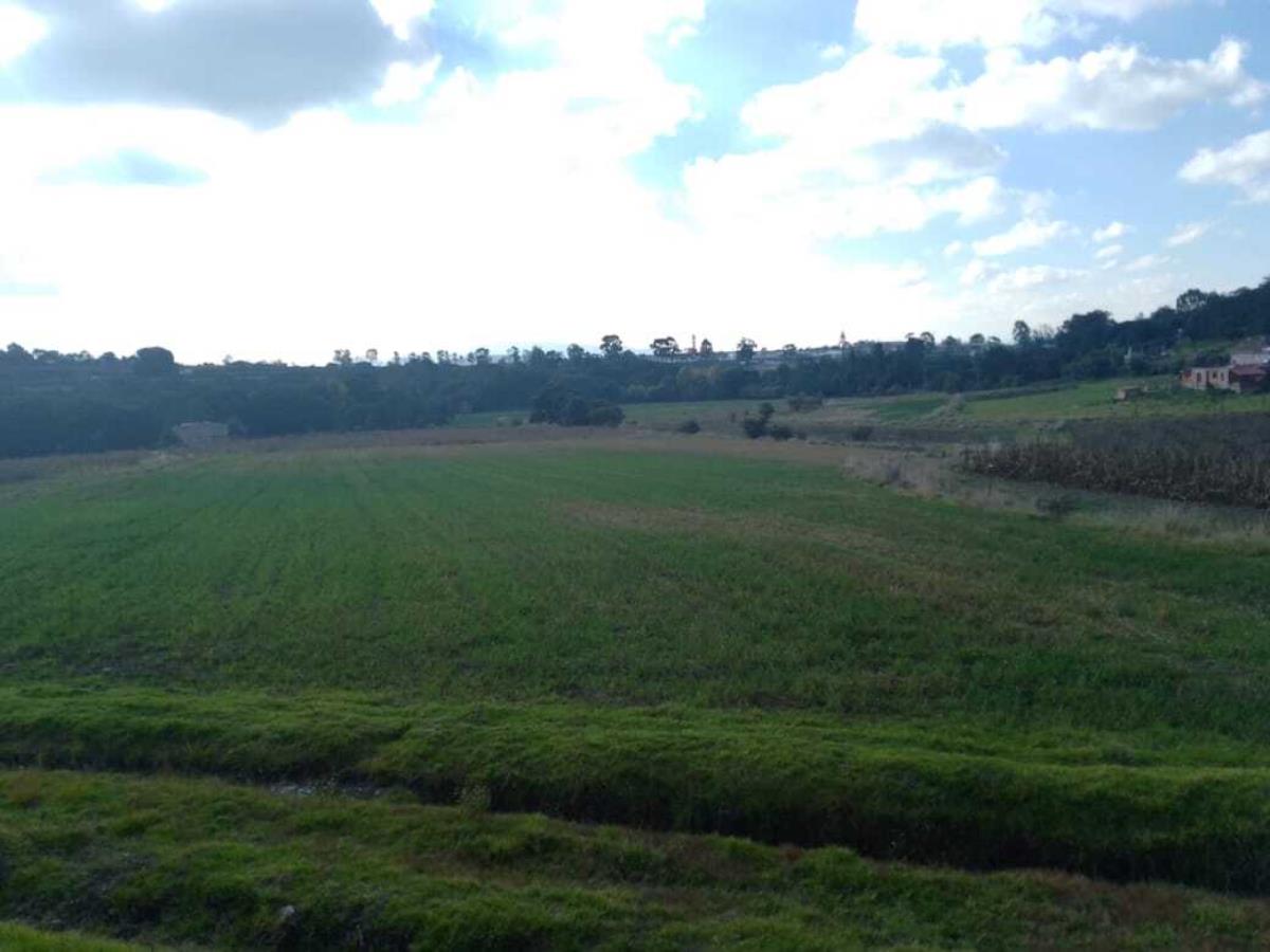 Terreno en venta en El Rosal, Jilotepec — foto 1 de 10