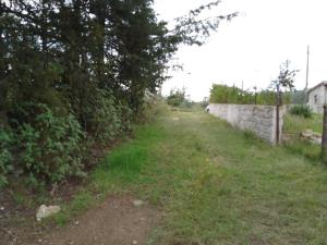Terreno en venta en Santa María Nativitas, Aculco — foto 2 de 12