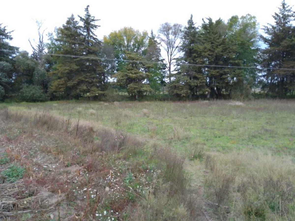 Terreno en venta en Santa María Nativitas, Aculco — foto 1 de 12