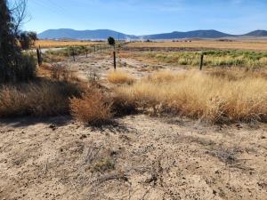 Terreno en venta en San Antonio de las Alazanas, Arteaga — foto 3 de 8