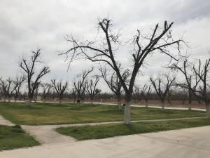 Terreno en venta en La Barranca, Torreón — foto 2 de 5