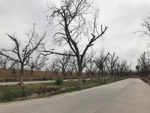 Terreno en venta en La Barranca, Torreón — foto 3 de 5
