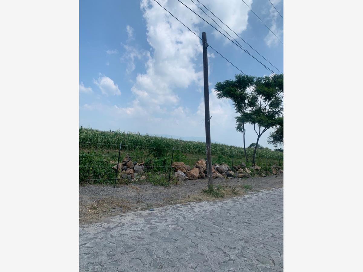 Terreno en venta en Los Cedros, Ixtlahuacán de los Membrillos — foto 1 de 19
