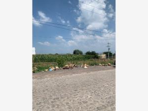 Terreno en venta en Los Cedros, Ixtlahuacán de los Membrillos — foto 2 de 19