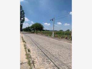 Terreno en venta en Los Cedros, Ixtlahuacán de los Membrillos — foto 3 de 19