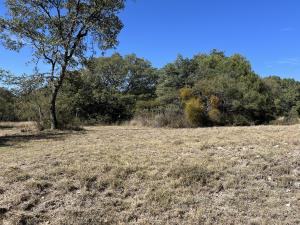 Terreno en venta en Flor del Bosque, Amozoc — foto 3 de 6