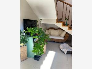 Casa en venta en Lomas de Cocoyoc, Atlatlahucan — foto 3 de 11