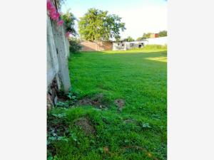 Terreno en venta en Cocoyoc, Yautepec — foto 2 de 6